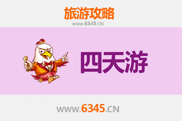 屯昌南吕镇四天三夜深度游攻略：雨林探秘与黎族文化体验